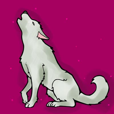 animals_36