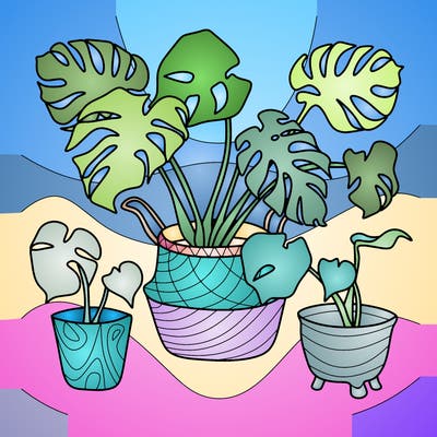 flowers_25