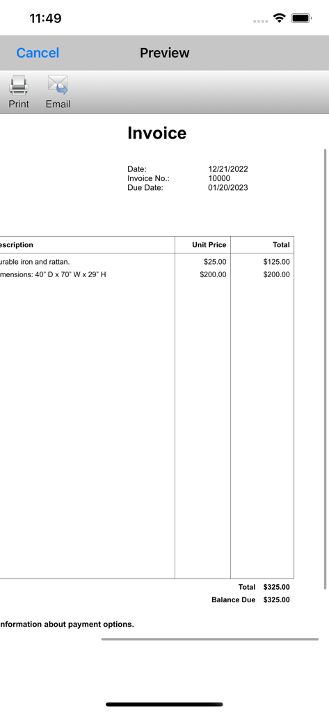 Preview screen showing a professional invoice with item descriptions and totals in the Express Invoice app.