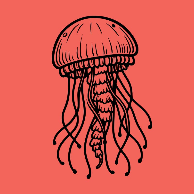 jellyfish