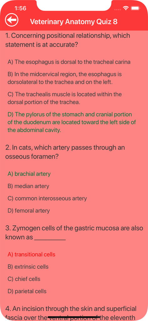 Veterinary Anatomy Quizzes - Bildschirm einer mobilen App, der Multiple-Choice-Fragen für ein Veterinäranatomie-Quiz mit hervorgehobenen richtigen und falschen Antworten in Grün und Rot zeigt.