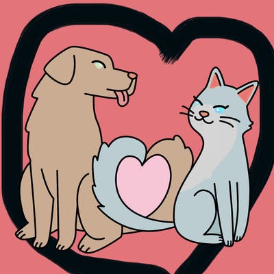animals_22