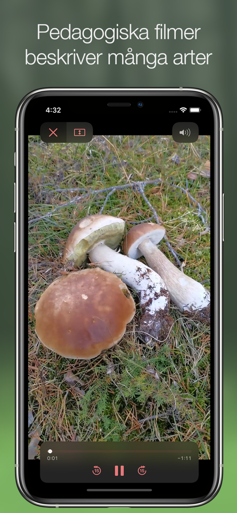Svampguiden+ - Smartphone screen showing an educational mushroom identification video in the Svampguiden plus app