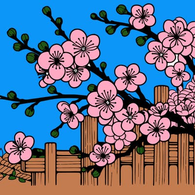 japan cherry blossom