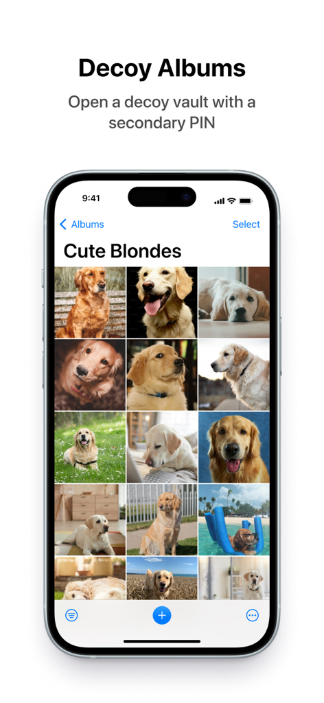 Keepsafe app showing decoy albums feature with a secondary PIN access.