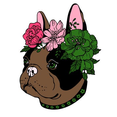 animals_76