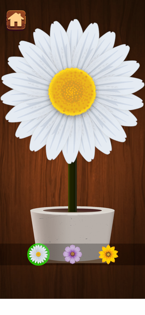 Relaxing Antistress popit Game - Una margarita blanca en una maceta contra un fondo de madera oscura en un juego móvil relajante antistrés