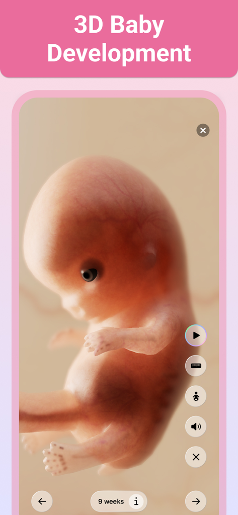 Ein realistisches 3D-Babymodell in der 9. Entwicklungswoche innerhalb der Pregnancy Plus App-Oberfläche