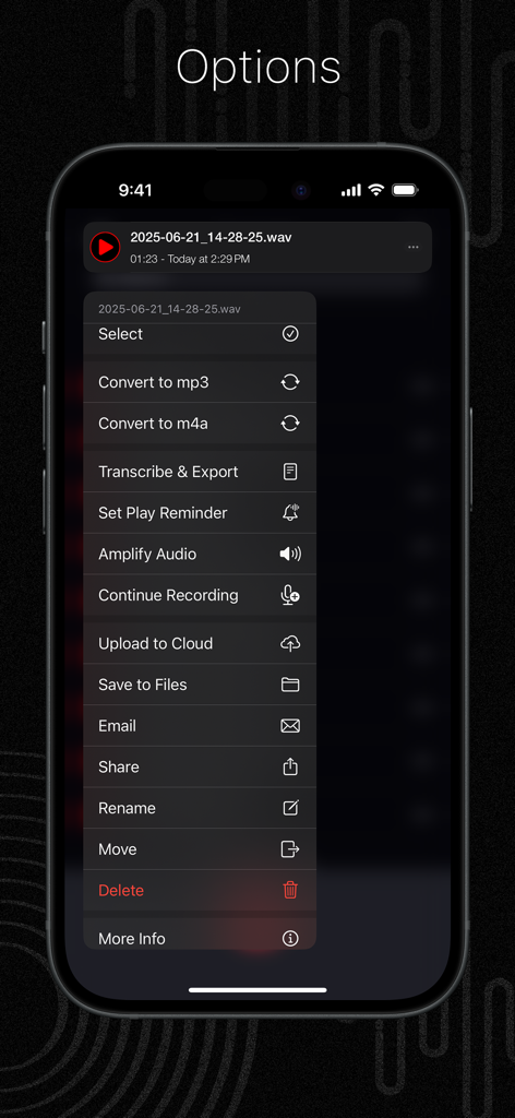 Mobile screen showing audio file options like conversion transcription and cloud upload in the Audio Recorder app