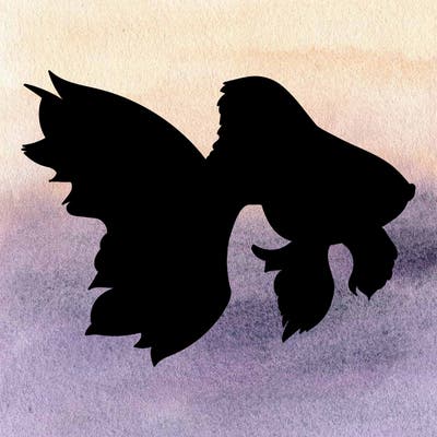 animals_19