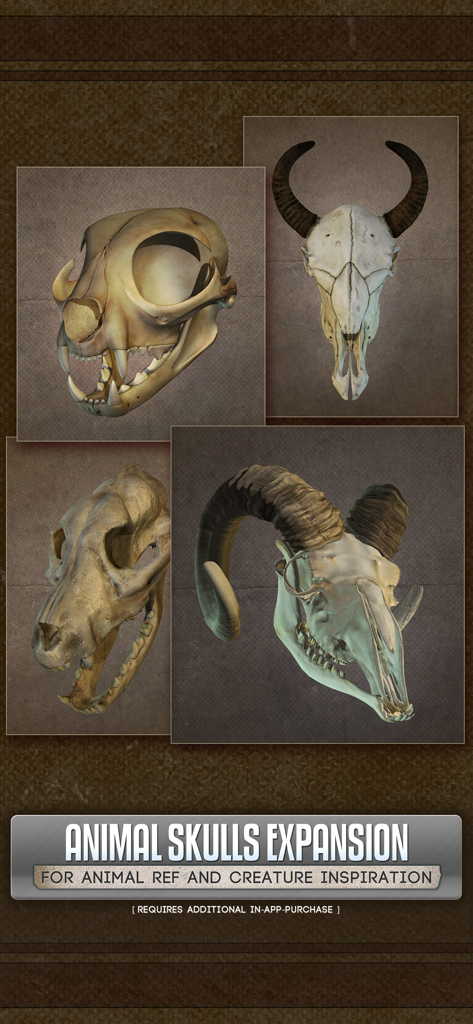 Handy Art Reference Tool - 3D animal skulls collection for artistic reference and creature design