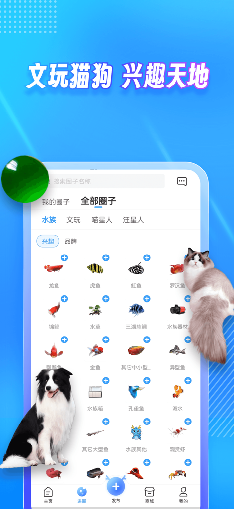 龙巅 - 为兴趣而生 - Interface of the Long Dian app showing various interest circles for aquarium fish, pets, and antiques.