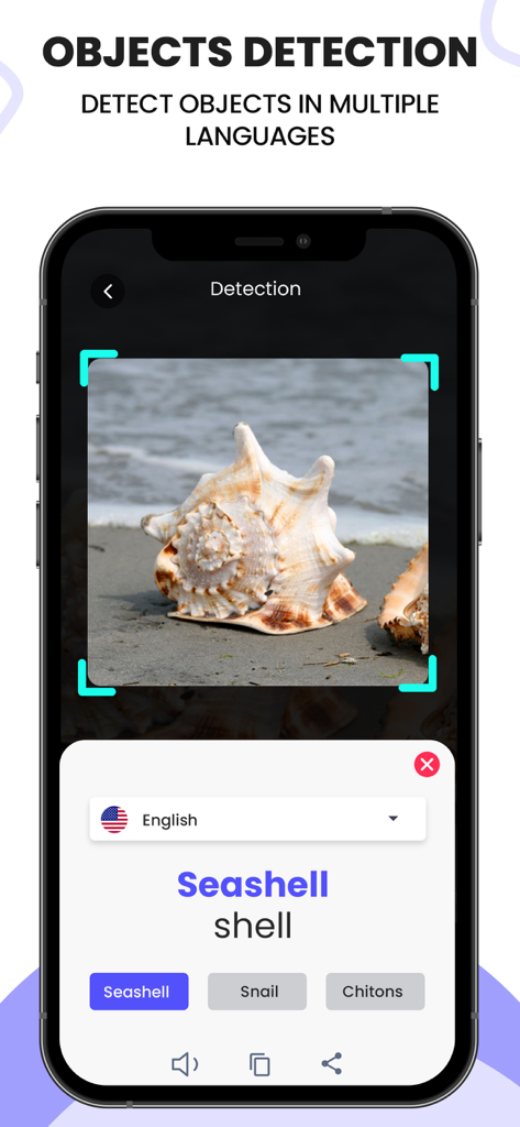 Scanner| Document PDF ScanLens - ScanLens App-Oberfläche, die die Objekterkennungsfunktion zeigt, die eine Muschel identifiziert