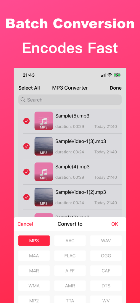 MP3 Konverter App, die die Auswahl von Stapeldateien und Optionen für Audioformate zeigt