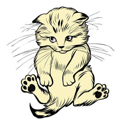 animals_20