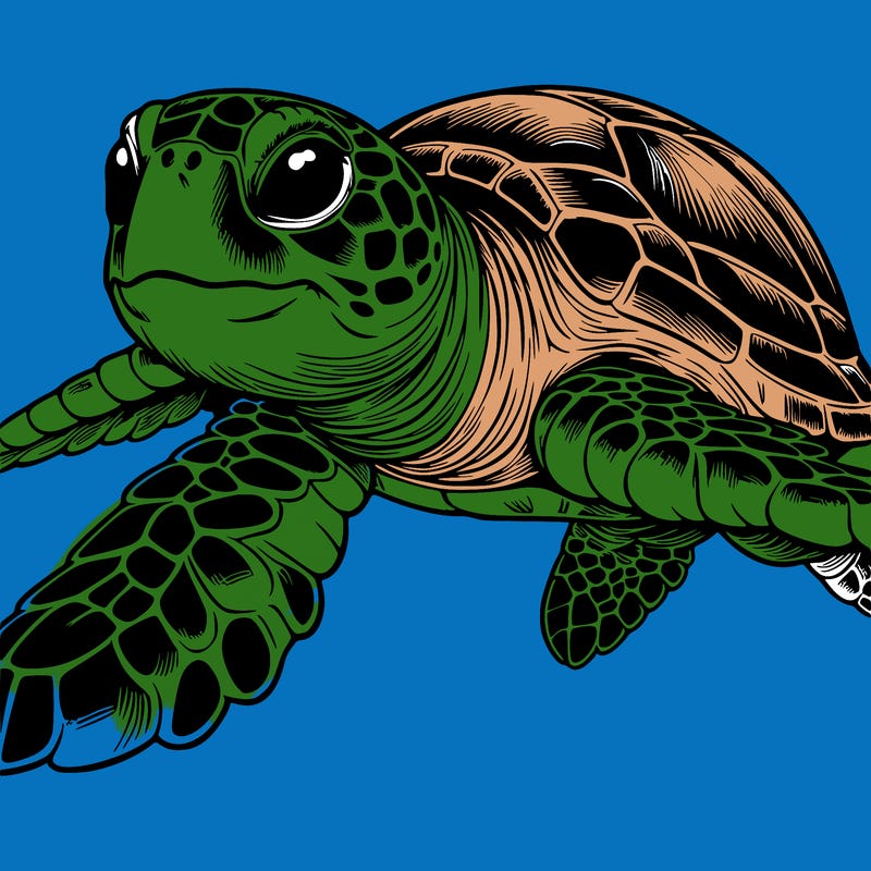 realistic sea turtle