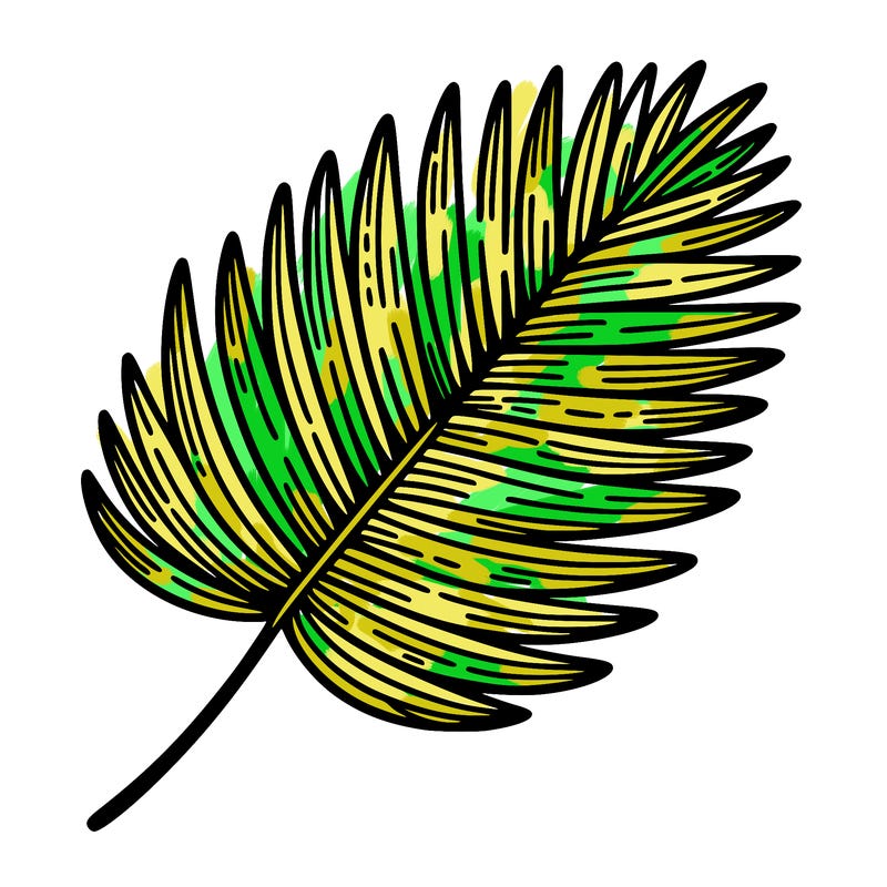 tropical palm leaf