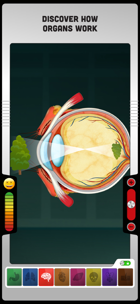Anatomical diagram of a human eye showing how light forms an image on the retina in an educational app.