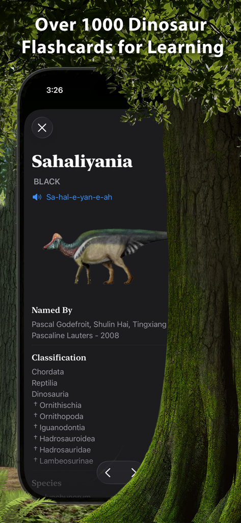 World of Dinosaurs - A detailed dinosaur flashcard for Sahaliyania featuring its scientific classification and illustration