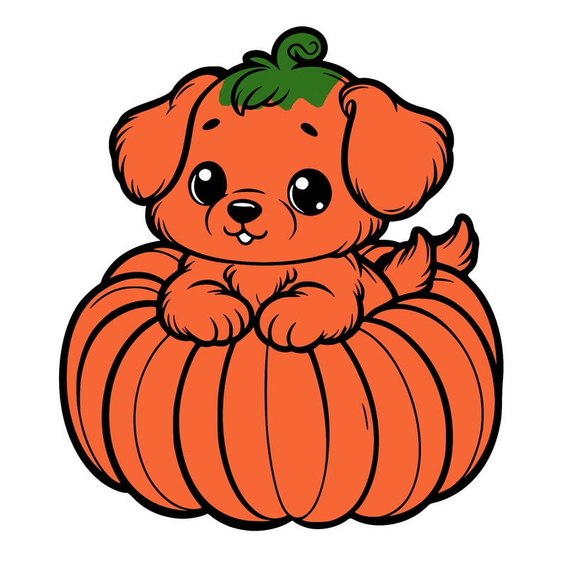 cute little puppy in a pumpkin