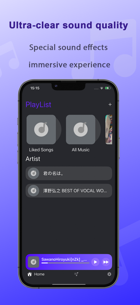Solo Music Player app interface displaying playlists and artist lists for offline local music playback