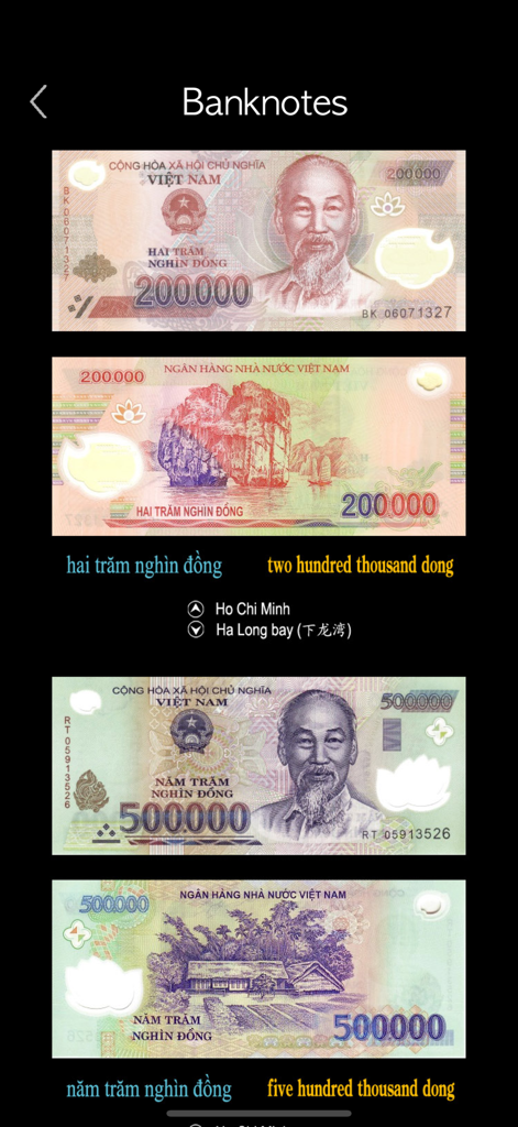 ベトナムの紙幣の教育的な表示。通貨名はベトナム語と英語で表示されています。