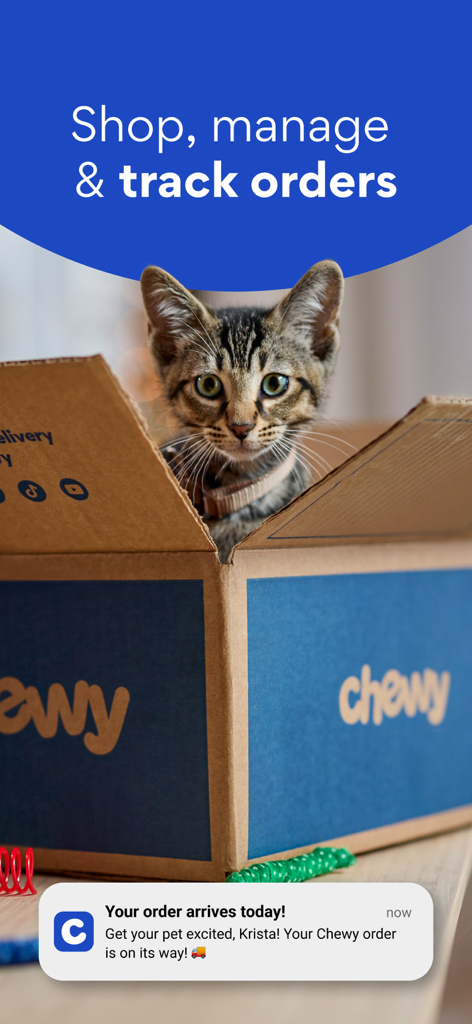 Chewy - Pet Care & Pharmacy - Un gattino seduto in una scatola blu di Chewy con una notifica push di arrivo dell'ordine