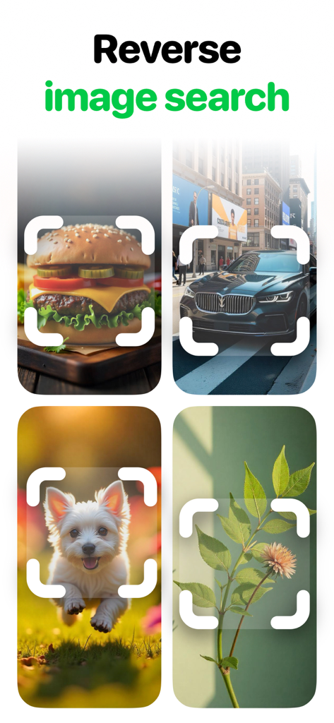 A demonstration of reverse image search being used on a burger a car a puppy and a plant