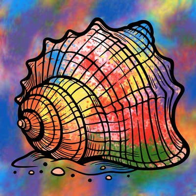 sea shell