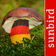 Pilzführer Deutschland, Pilze!