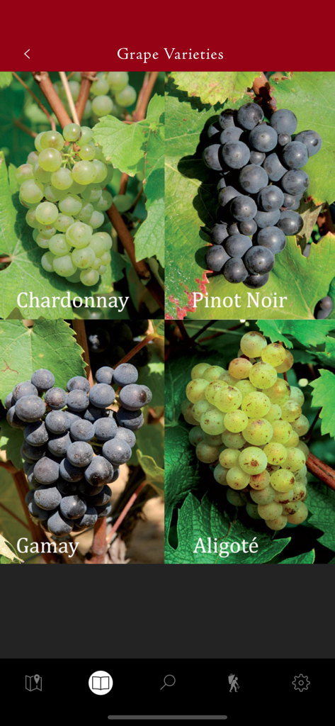 ClimaVinea - ClimaVinea app screen showing photographs and names of Burgundy grape varieties including Chardonnay Pinot Noir Gamay and Aligote