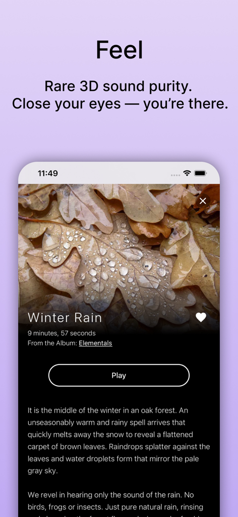 Interfaz de la aplicación Pure Nature mostrando una pista de paisaje sonoro 3D titulada "Lluvia de Invierno" con una imagen de fondo de hojas de otoño mojadas y un botón de reproducción