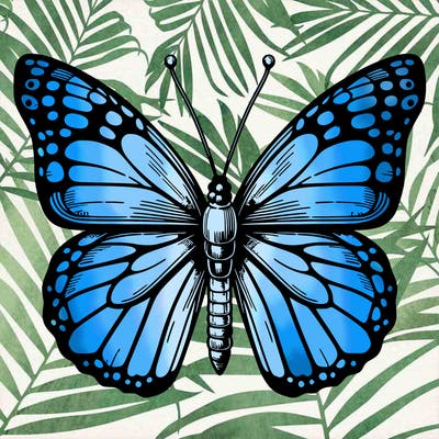 realistic butterfly