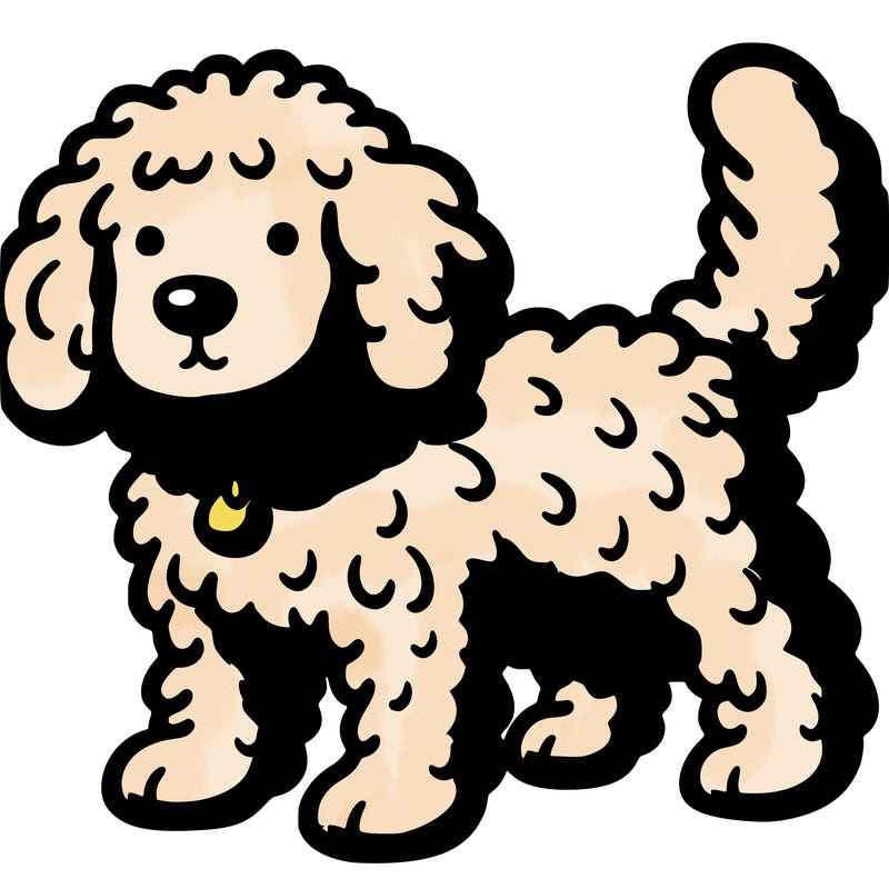 golden doodle