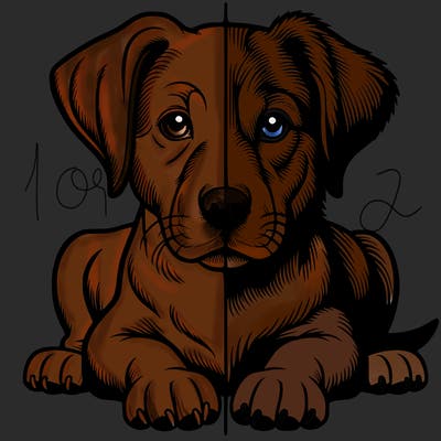 realistic dog split picture