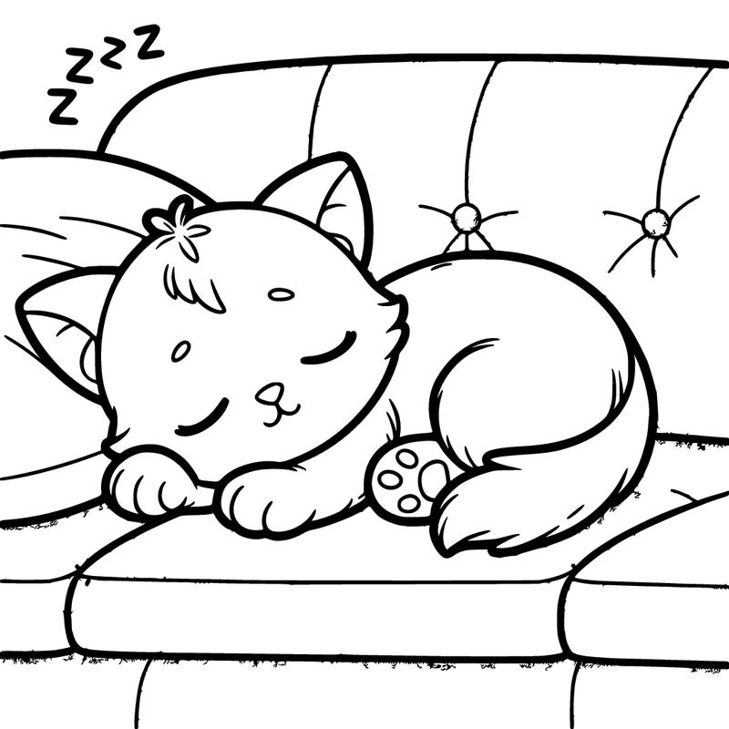 cute small kitten sleeping on a sofa