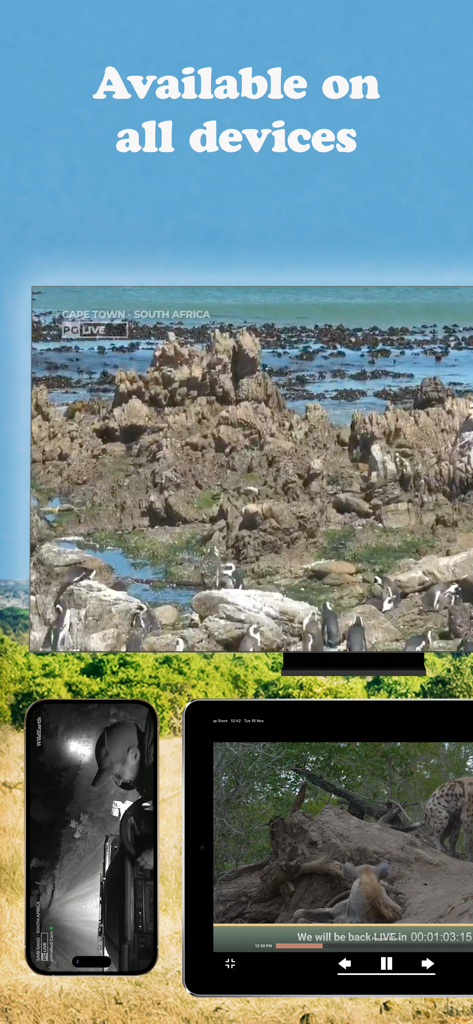 WildEarth TV app displaying African wildlife safaris across a television screen tablet and smartphone