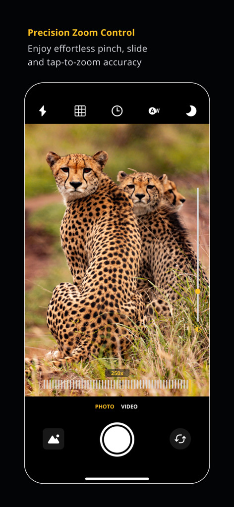 Pro Zoom 250x - Tele Camera HD - Interfaz de cámara de la aplicación Pro Zoom 250x con control de zoom de precisión y fotos de alta definición de guepardos en la naturaleza.