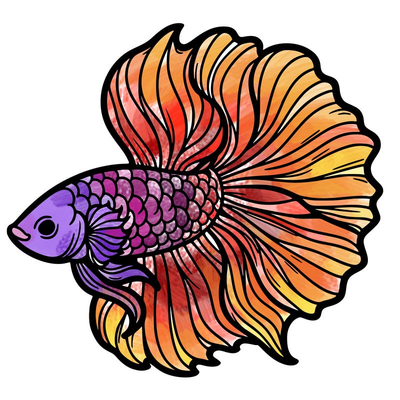 betta fish
