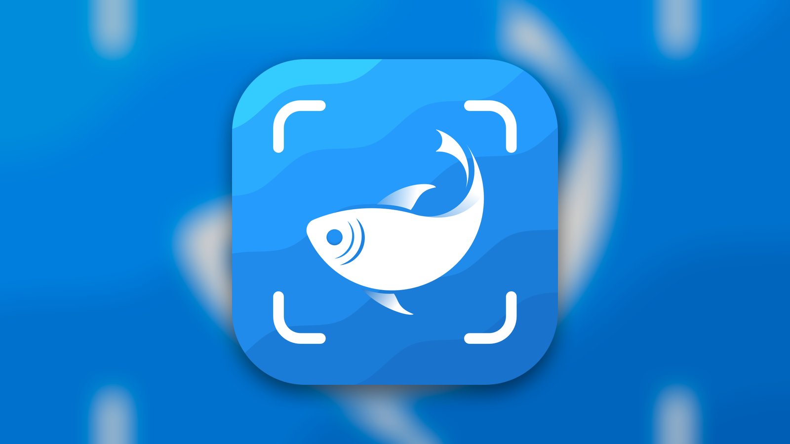 Picture Fish - Fish Identifier - Education App | MWM