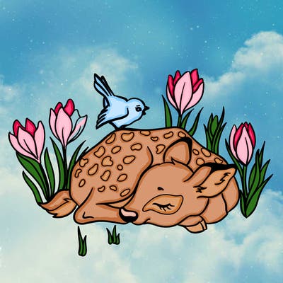 animals_61