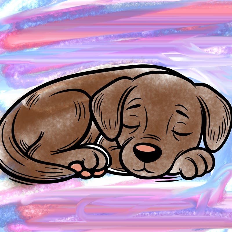 a dog sleeping