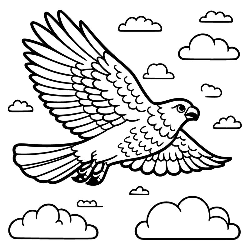 a hawk soaring in the sky