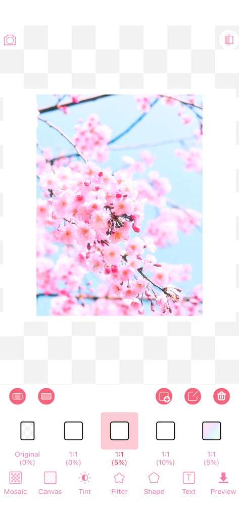 WataameCamera - WataameCamera App-Oberfläche, die ein Kirschblütenfoto zeigt, das mit weichen rosa Filtern und Pastellrahmenoptionen bearbeitet wird