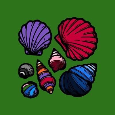 shells