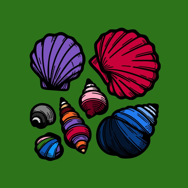 shells