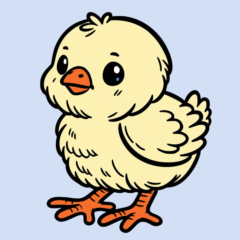 baby chick