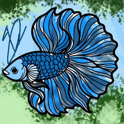betta fish