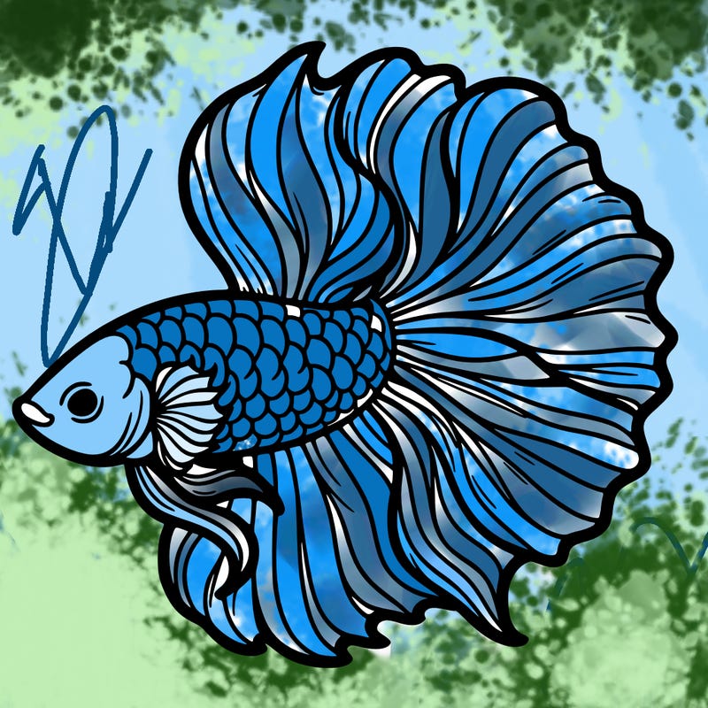 betta fish