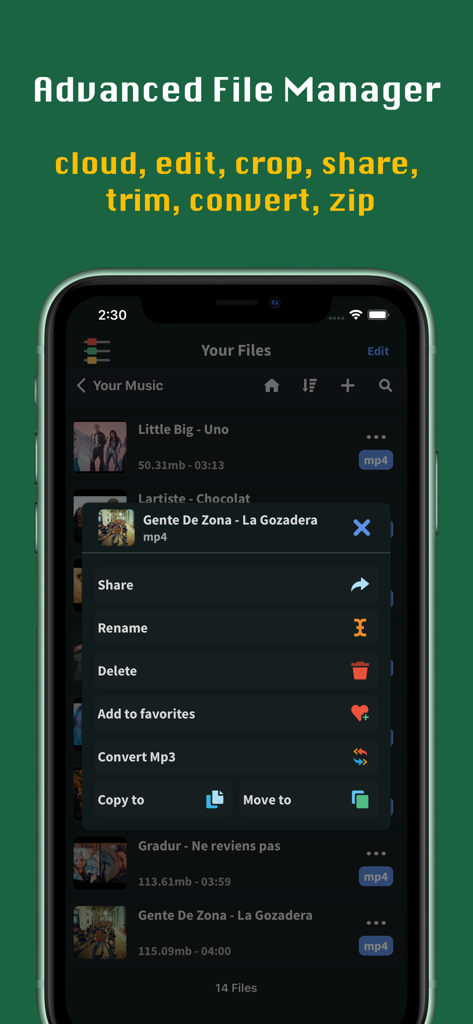 FoxFM app advanced file manager interface showing file options and media conversion features
